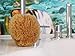 Natural Sea Sponge Sea Nature Brand 5-6 Inches Honeycomb Type for Body Bath and Face Cleaning ideal for Baby Bathing - Strong and Durable Guaranteed