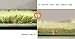 Soft Modern ShagGreen Area Rugs Fluffy Living Room Carpet Comfy Bedroom Home Decorate Floor Kids Playing Mat