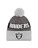 NFL Oakland Raiders 2016 Reverse Team Color Sport Knit Beanie, One Size, Silver/Gray
