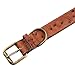 PAWCHIE Leather Dog Collar with Alloy Buckle - Genuine Small Medium Large Dog Collar Adjustable Puppy Necklace Pet Collar Brown