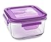Wean Green Garden Pack Lunch Cubes Glass Food Containers (Grape, Blueberry, Pea, Carrot)