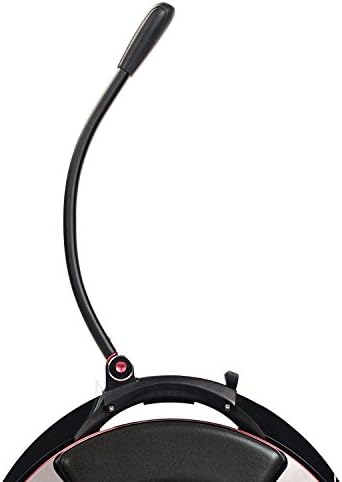 InMotion V10 Gyroroue électrique Mixte Adulte, Noir, Unique