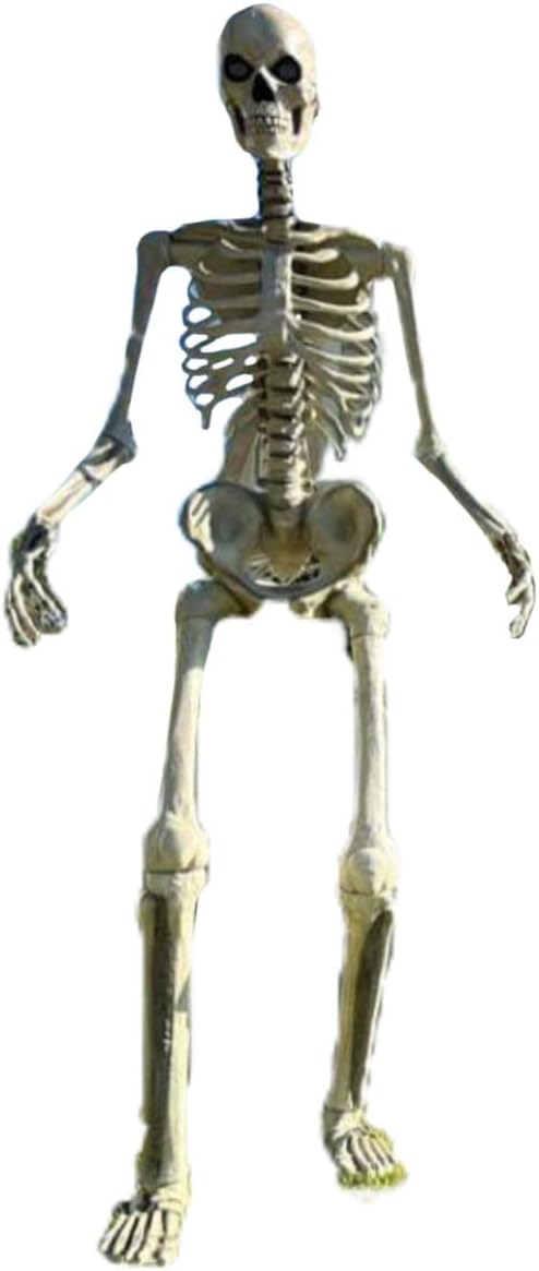 Garden Sculptures & Statues - Home Accents 12 ft. Giant-Sized Skeleton with LifeEyes