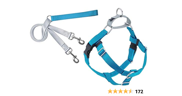 only uniqueness dog harness