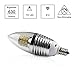 LEDMO LED Candelabra Bulb,E12 7W,Daylight White 6000K,LED Candle Bulbs,Sharp Tip,Sliver(6 Pack)