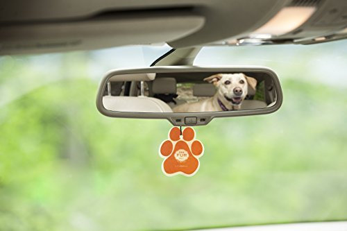 One Fur All Pet House Car Air Freshener, Pack of 4 - Pina Colada - Non-Toxic Auto Air Freshener, Pet Odor Eliminating Air Freshener for Car, Ideal for Small Spaces, Dye Free Dog Car Air Freshener - Thumbnail 4