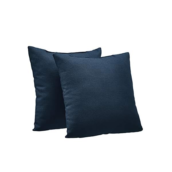 Amazon Basics 2-Pack Textured Weave Decorative Throw Pillows - 18"