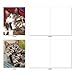 The Best Card Company - 10 Adorable Blank Cat Cards (4 x 5.12 Inch) - Cute Pet Kittens, Assorted Bulk Notecard Set - Cats Selfie M4953OCB-B1x10-NB