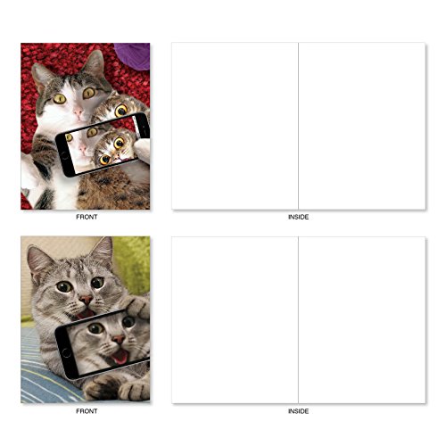 image for The Best Card Company Cats Selfie: 10 Assorted Box of Blank Note Cards