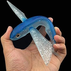 Leurres De Pêche Leurre De Thon Doux Leurre De Pêche En Eau Salée Pour Kingfish/thon/maquereau/marlin/mahi Mahi Pêche À La Traîne En Mer Crankbait Flottant, Poisson Volant Bionique