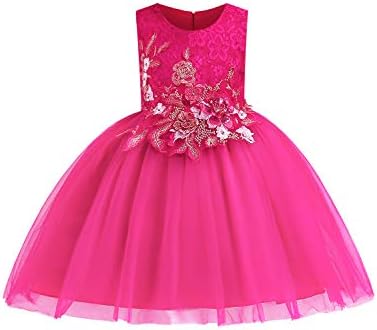 LIEEN Girls Sleeveless Wedding Party 3D Embroidered Flower Pageant Dresses