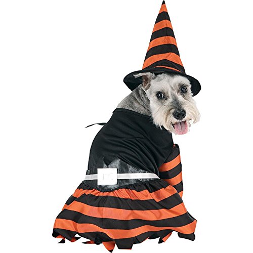 Dog Witch Halloween Costume (Size: Large)