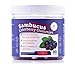 Elderberry Gummies for Kids & Adults - Sambucus Immune System Booster (90 Gummies) Allergy Cold Relief Supplement - Vitamin C Zinc Multivitamin, Organic, Vegan, Blueberry Flavor primary