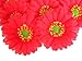 (12) BIG Silk Red Gerbera Daisy Flower Heads , Gerber Daisies - 3.5