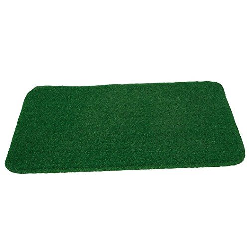 Verdemax 3381 67 x 39 cm Synthetic Grass Doormat