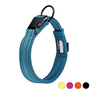 PETTOM Collar para Perros Gatos Pequeños Grandes Medianos Reflectante Suave Acolchado Impermeable Ajustable Transpirable con Etiqueta de Nombre para Caminar Correr Trekking Entrenamiento Azul, XS