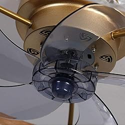 PSHRFANST 19.7" Ceiling Fan with Lights, Dimmable