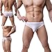WINDAY Men Briefs Breathable Ice Silk Triangle Bikinis and Briefs N04 XXL/US XL 4-Pack White
