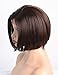 AIVA Glueless Bob Synthetic Lace Front Wigs for Women Side Part Natural Synthetic Hair Replacement Brown Wig (Brown, 8 inch)