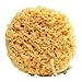 Exfoliating Foam Sea Sponge 5 Inch (Pack of 3) Natural Feel