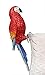 Garden at Home Tropical Decor Macaw Parrot Figurine Pot Hanger, 9