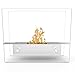 Regal Flame Indoor Outdoor Lyon Tabletop Portable Bio Ethanol Fireplace - Stainless Steel