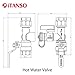 iTANSO 3/4-Inch IPS Isolator Tankless Water Heater Service Valve Kit with Clean Brass Construction
