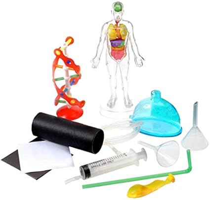 edu science human anatomy kit
