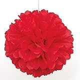 Tissue Paper Pom Pom, 16