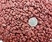 FloweRock 5LB Red Lava Rock - Quarter (1/4