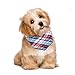 Invlab Dog Bandanas - 4 Pack Washable Triangle Bibs Scarfs, Reversible Plaid Printing Kerchief for Dogs and Cats,4 Styles