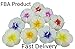 NAVA CHIANGMAI Plumeria Flower Floating Candles 10 Pieces / 1 Set