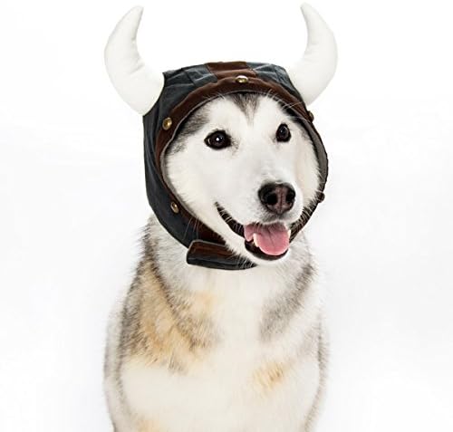 dog viking helmet