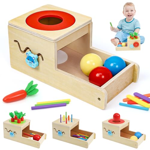 Wdmiya Montessori Toys for 1 Year Old, 6 in 1 Wooden Toys for Baby Boy Girl at Amazon