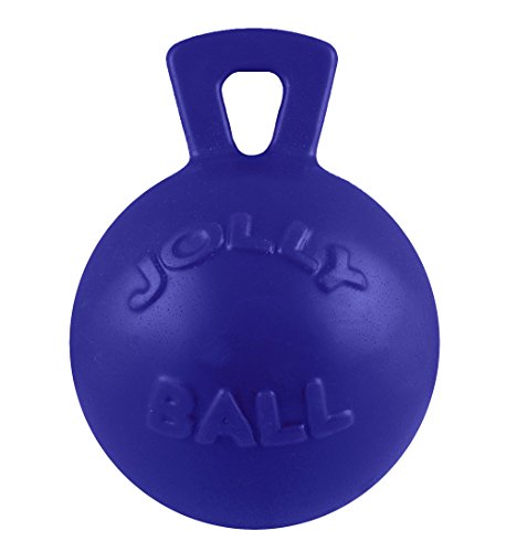 Jolly Pets Tug-N-Toss Dog Toy Ball with Handle