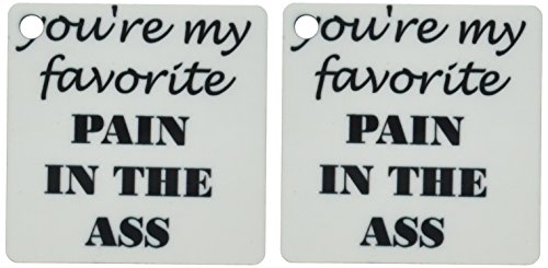 3dRose your My Favorite Pain In The Ass Key Chains, 2.25" x 2.25", Set of 2 (kc_214440_1)