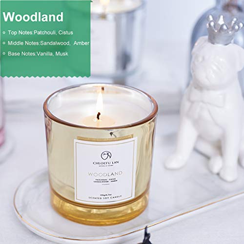 Scented Candle Patchouli & Sandalwood & Musk Soy Wax Long Burning (40 hours) Strong Fragrance Aromatherapy Candles for Home Decorative, Stress Relief and Best Gifts with Golden Glass (Woodland)