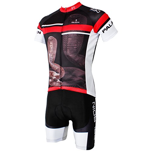 paladin cycling jersey