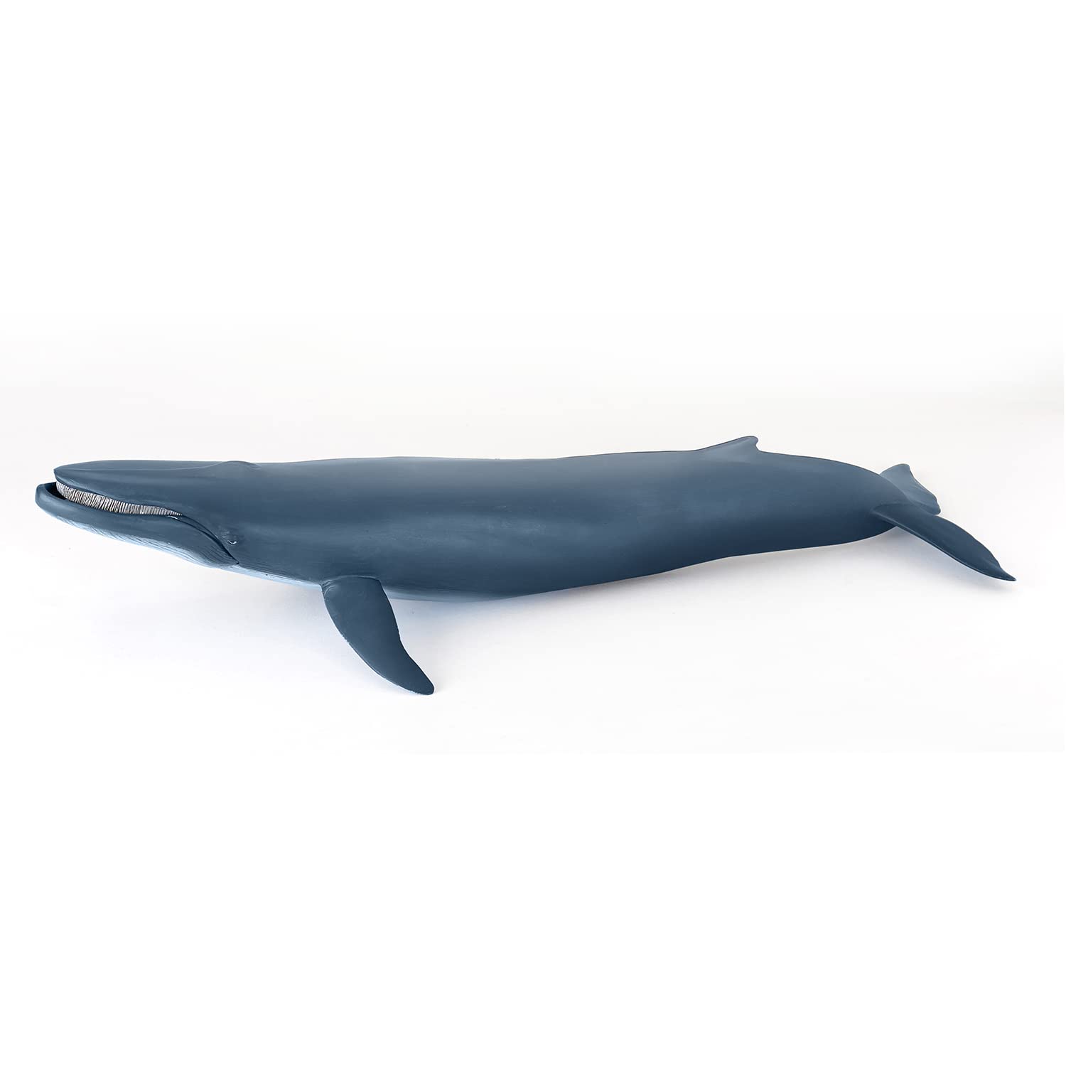 Papo - Realistic Blue Whale Figure Toy for Kids - Ages 3+ - Marine Life Collection - Educational Play Marine Mammals - Gift Idea Toy for Girls and Boys - 38.5 Cm X 17 Cm X 7.5 Cm
