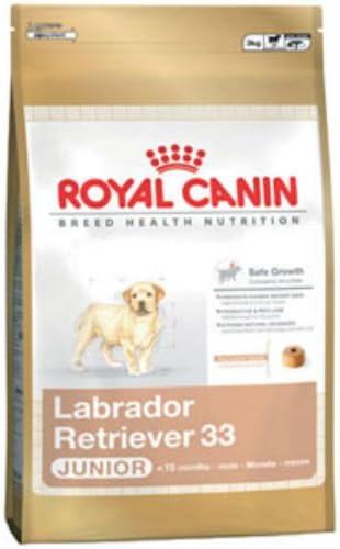 labrador puppy food
