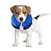BENCMATE Protective Inflatable Collar for Dogs and Cats - Soft Pet Recovery Collar Does Not Block Vision (Small, Blue)