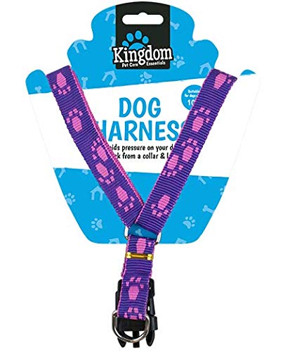Kingdom New Dog Safety Harness ideal for dogs that pull and fight against leads. (WHITE)