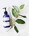 Nurture My Body All-Natural Hand & Body Lotion, Fragrance Free, 8 fl oz. - Certified Organic Ingredients