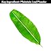 African Black Soap - Organic