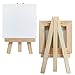 AUREUO Mini Canvas and Easel Set - 4x4 Inch/ 12 Pack - 2/5 Inch Profile Small Square Canvas with Display Stand - Art Gift Set Bulk Pack Canvases for Acrylic Painting & Craft