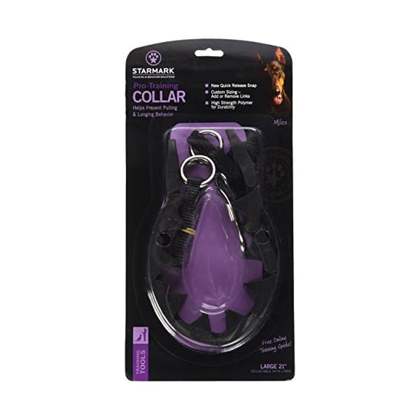 starmark pro training collar