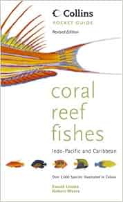 Collins Pocket Guide Coral Reef Fishes Collins Pocket