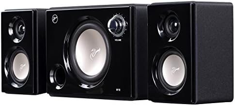 swan 2.1 speakers