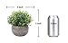 HC STAR Artificial Plant Potted Mini Fake Plant Decorative Lifelike Flower Green Plants Indoor and Outdoor Small Green Plants Fake Grass Plant for House Desk Shelf Greenery Room Decorations