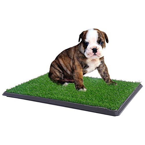 spotty indoor dog potty replacement grass